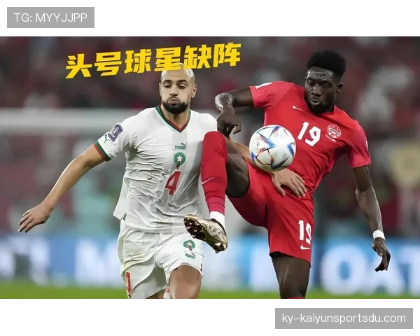 波黑从战平加拿大到击败卡塔尔，B组第三之路回顾